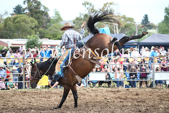 JindabyneRodeo2016_3033