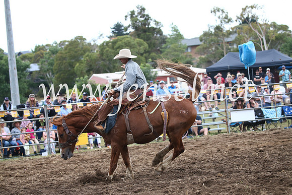 JindabyneRodeo2016_4589