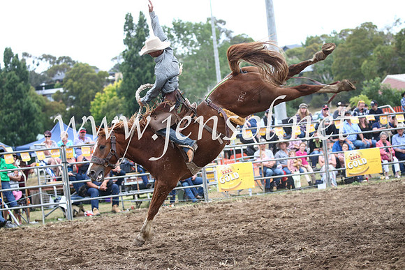 JindabyneRodeo2016_4614