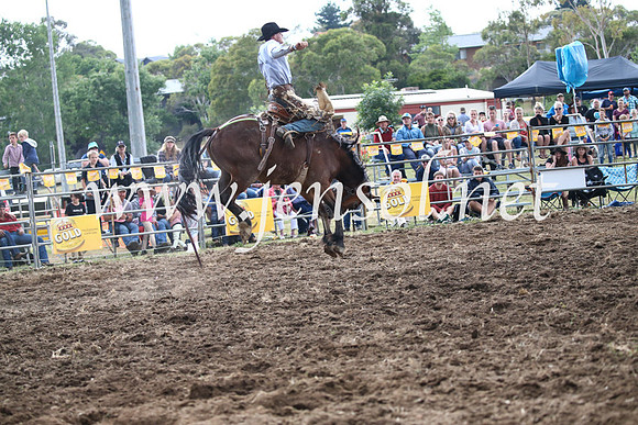 JindabyneRodeo2016_4832