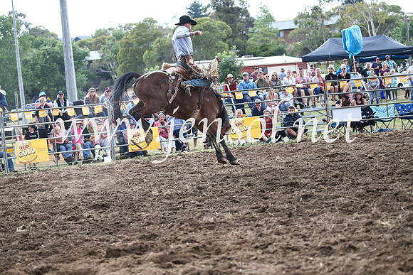 JindabyneRodeo2016_4834
