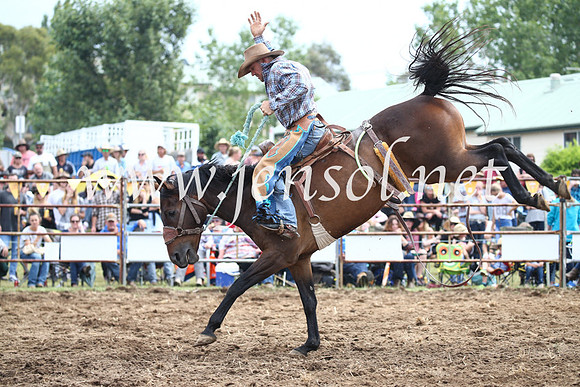 JindabyneRodeo2016_3027