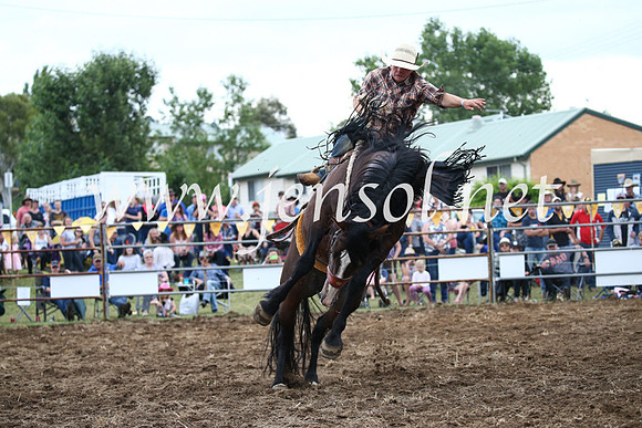 JindabyneRodeo2016_4574