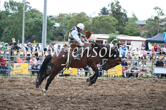 JindabyneRodeo2016_4678