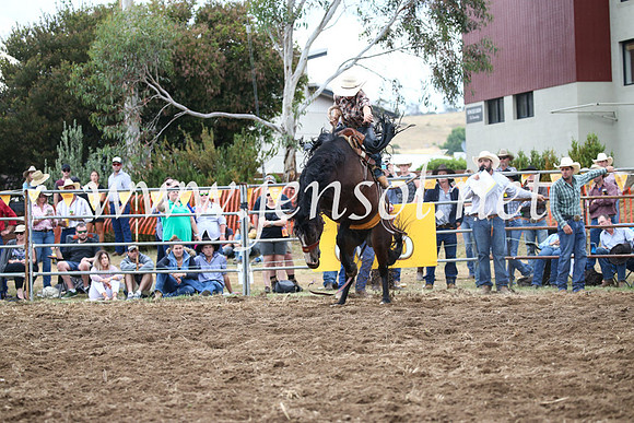 JindabyneRodeo2016_4549