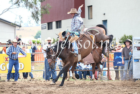 JindabyneRodeo2016_3003