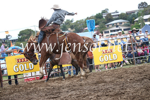 JindabyneRodeo2016_4605