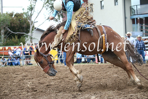 JindabyneRodeo2016_4626