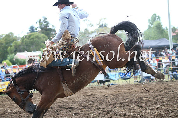 JindabyneRodeo2016_4821