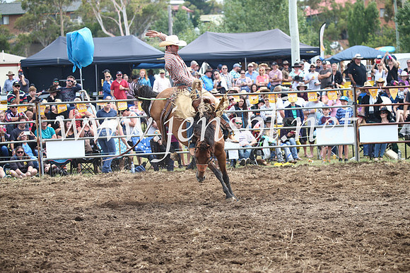 JindabyneRodeo2016_2988