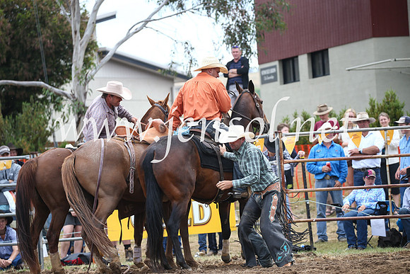 JindabyneRodeo2016_3135