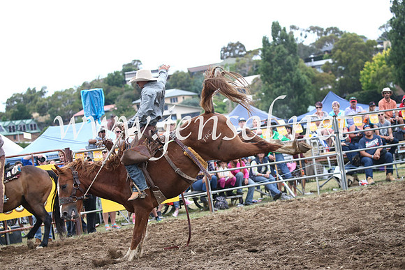 JindabyneRodeo2016_4604