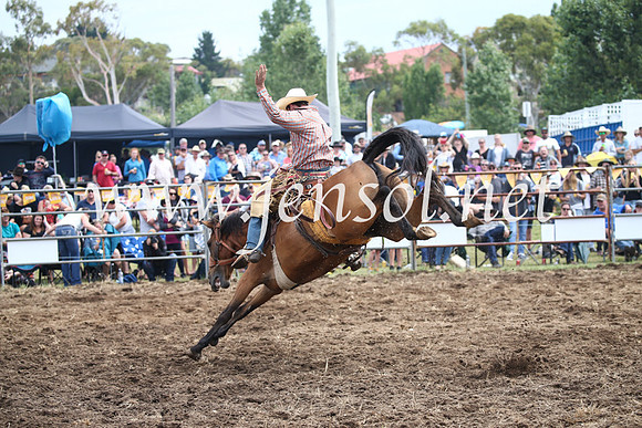 JindabyneRodeo2016_2975