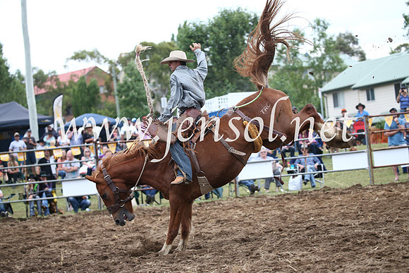 JindabyneRodeo2016_4587