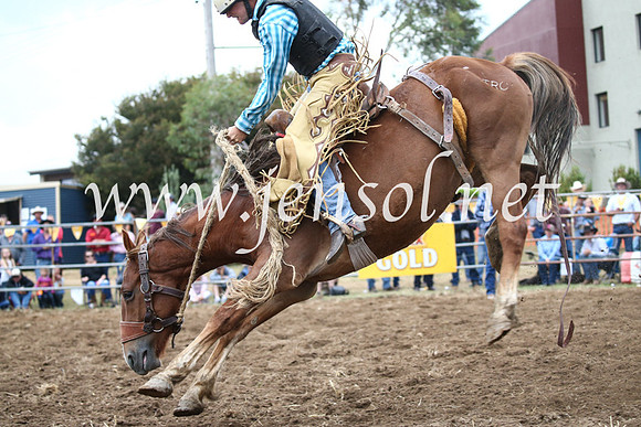 JindabyneRodeo2016_4629