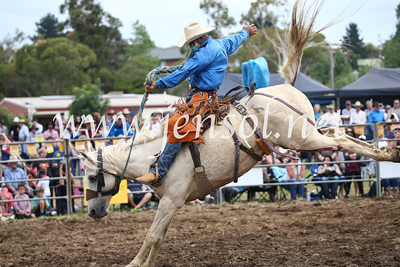 JindabyneRodeo2016_3076