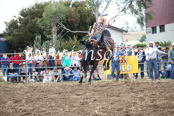JindabyneRodeo2016_4552