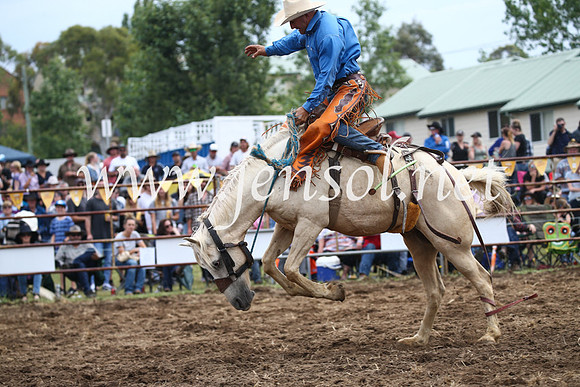 JindabyneRodeo2016_3050