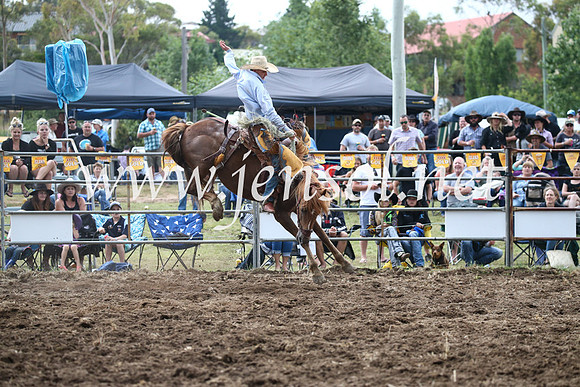 JindabyneRodeo2016_4735