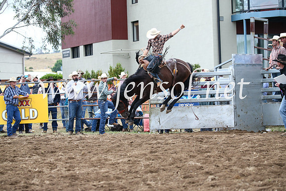 JindabyneRodeo2016_4529
