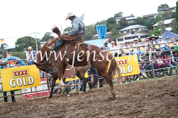 JindabyneRodeo2016_4608