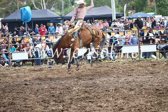 JindabyneRodeo2016_2983