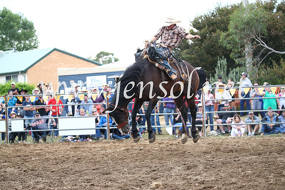 JindabyneRodeo2016_4560