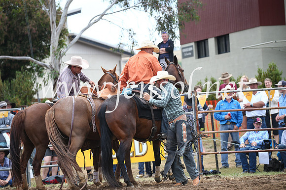 JindabyneRodeo2016_3133