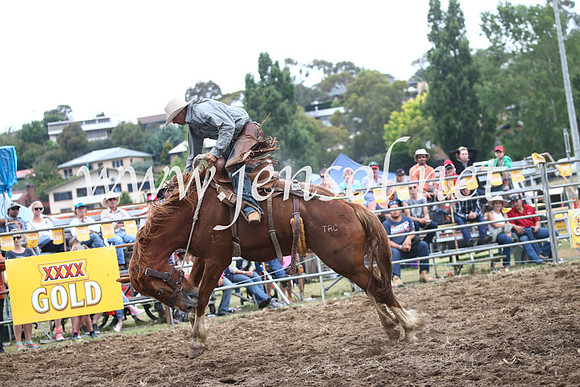 JindabyneRodeo2016_4616