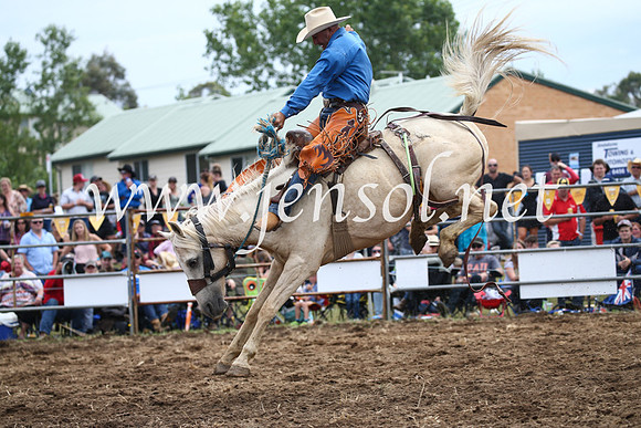 JindabyneRodeo2016_3056
