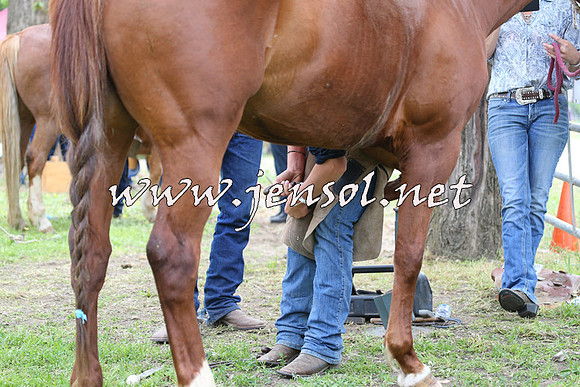 Battleonthebidgee_0347