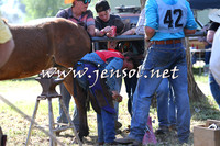 BattleoftheBidgee_0419-1