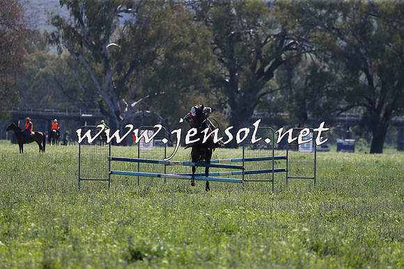 BattleoftheBidgee_0801