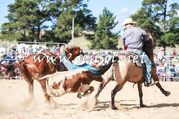 BraidwoodRodeo2016_4041