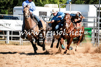 BraidwoodRodeo2016_1584