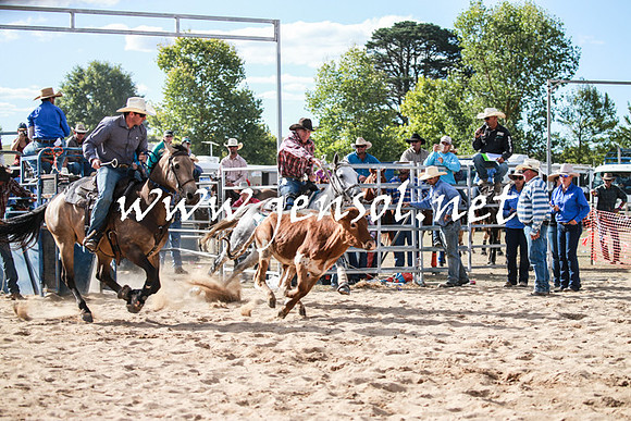 BraidwoodRodeo2016_4017