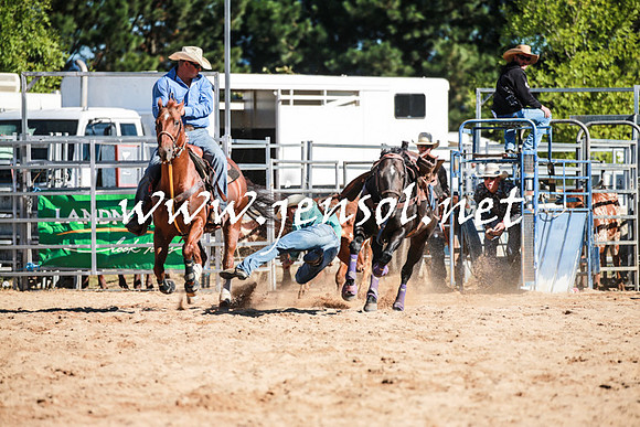 BraidwoodRodeo2016_1563