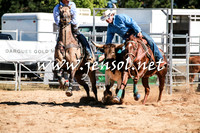 BraidwoodRodeo2016_1585