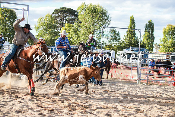 BraidwoodRodeo2016_5169