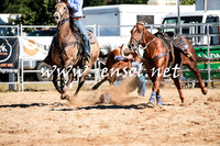 BraidwoodRodeo2016_1557