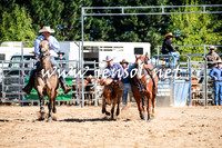 BraidwoodRodeo2016_1546