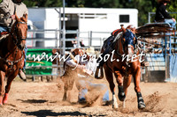 BraidwoodRodeo2016_1572