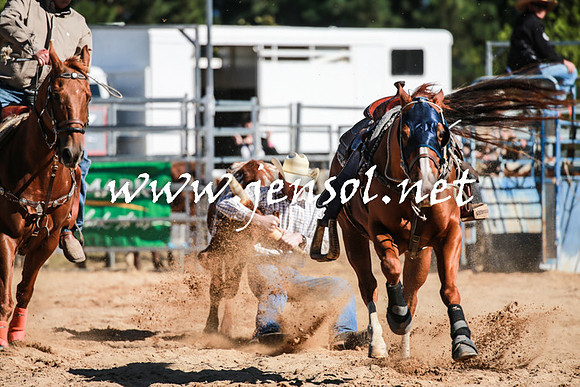 BraidwoodRodeo2016_1572