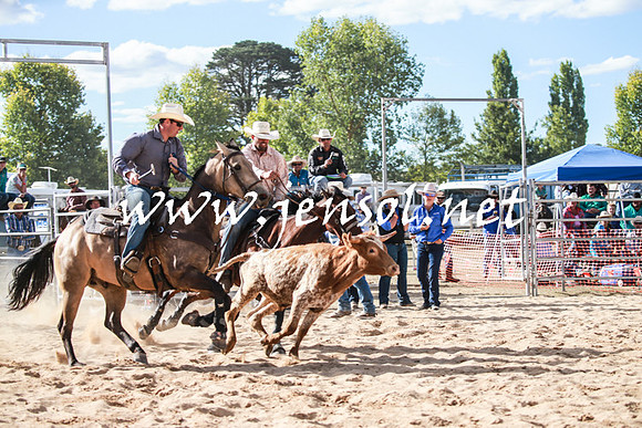 BraidwoodRodeo2016_4043