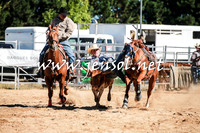 BraidwoodRodeo2016_1598