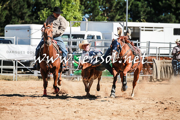 BraidwoodRodeo2016_1598