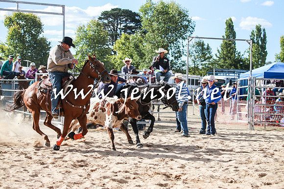 BraidwoodRodeo2016_3979