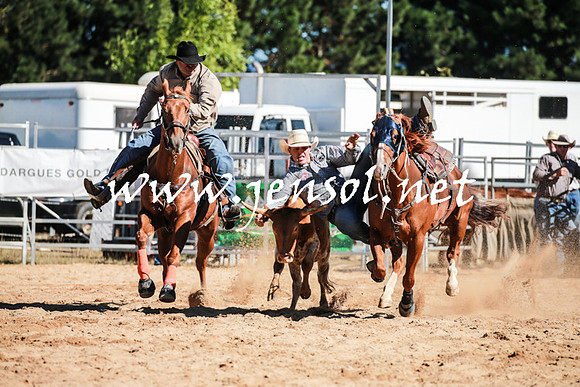 BraidwoodRodeo2016_1595