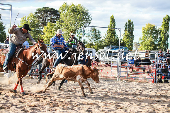 BraidwoodRodeo2016_5168