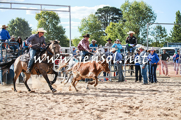 BraidwoodRodeo2016_4019